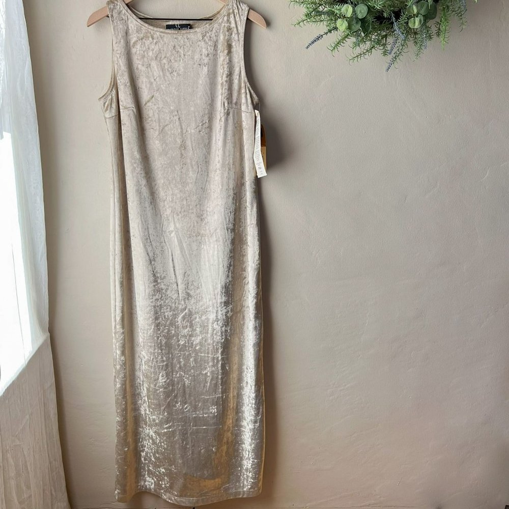 New Vintage Champagne Crushed Velvet Dress